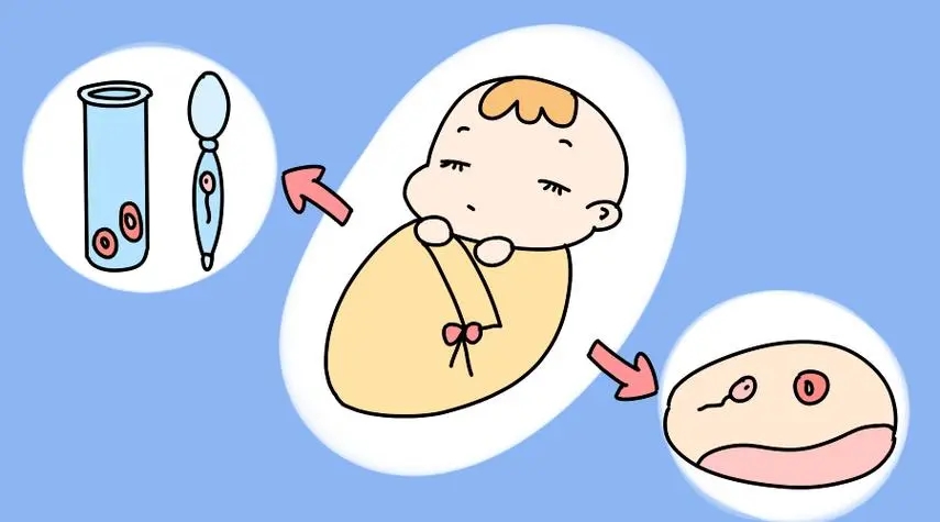 试管婴儿检查费用多少钱?月经第几天去检查呢?