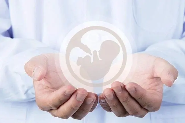 单身代孕:不想结婚生子能做试管代孕吗?
