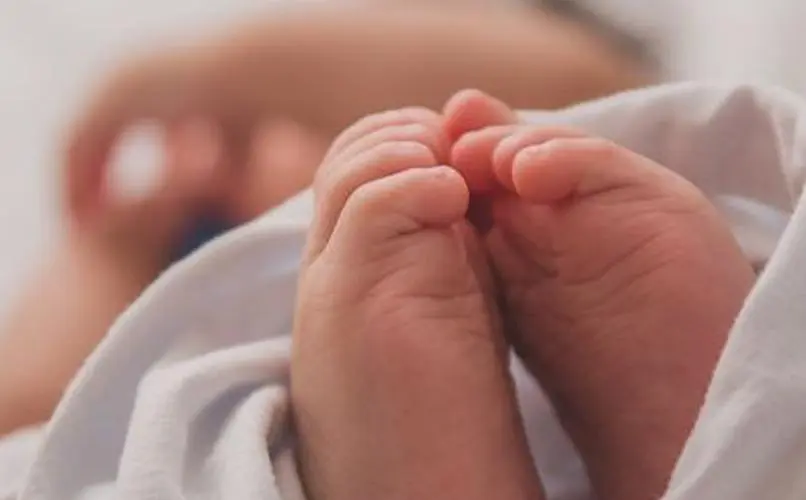 单身没结婚证代孕:单身做试管婴儿需要什么手续?