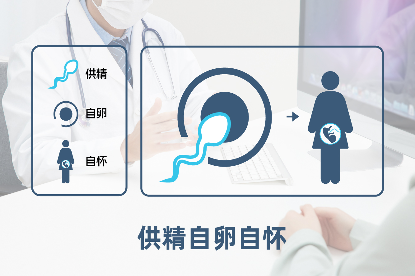 代孕项目 - 代孕_代孕机构_代孕公司_代孕价格_孕宝国际生殖中心